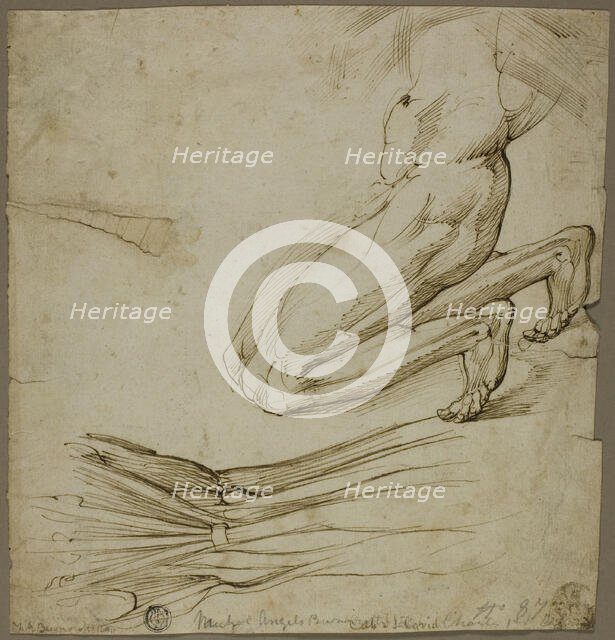 Anatomical Study and Sketch of Kneeling Figure, n.d. Creator: Unknown.