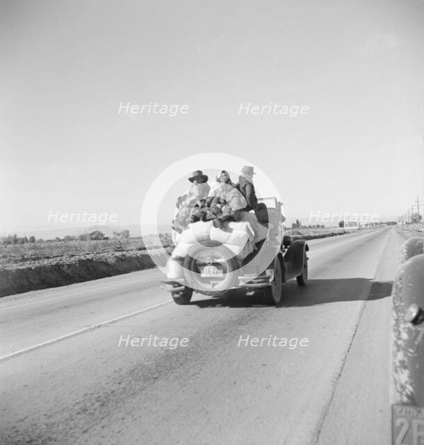 In search of employment as pea pickers, on U.S. 80, Imperial Valley, California, 1939. Creator: Dorothea Lange.