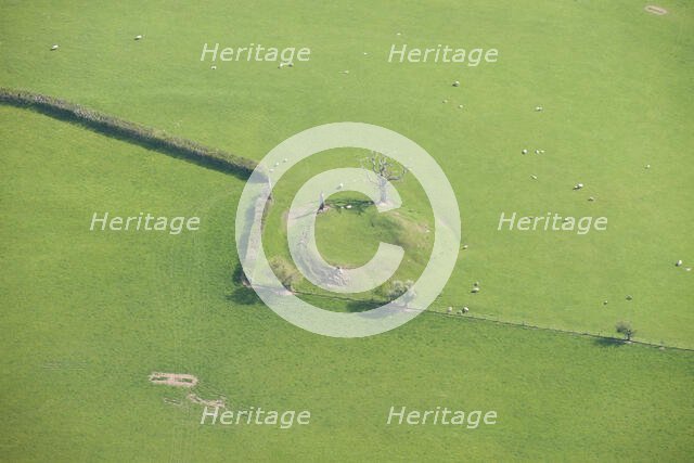 Cothill Tump, a motte castle, Herefordshire, 2016. Creator: Damian Grady.