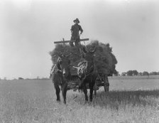 The threshing of oats, Clayton, Indiana, south of Indianapolis, 1936 Creator: Dorothea Lange.