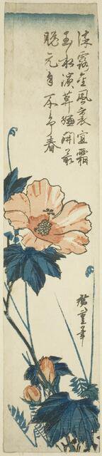 Hibiscus, 1830s. Creator: Ando Hiroshige.