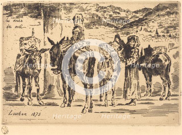Feuilles d'Anes du Midi (Sheet of Donkeys from the South), 1873. Creator: Felix Hilaire Buhot.