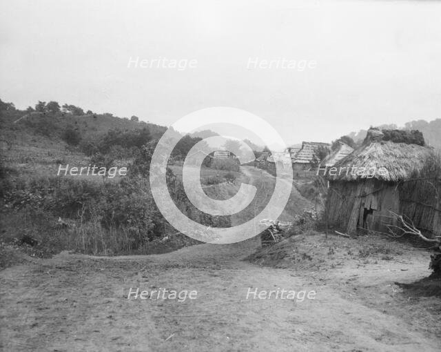 View of Ainu village, 1908. Creator: Arnold Genthe.