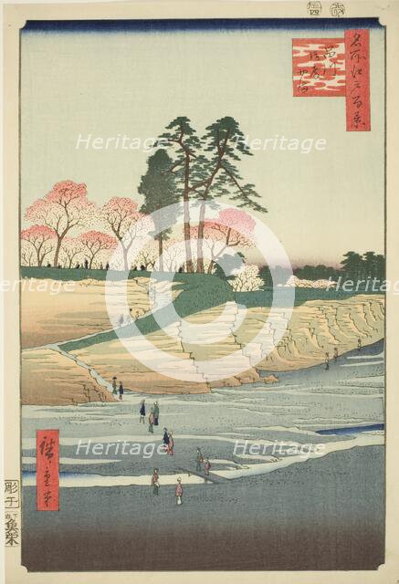 Goten Hill at Shinagawa (Shinagawa Gotenyama), from the series "One Hundred Famous..., 1856. Creator: Ando Hiroshige.
