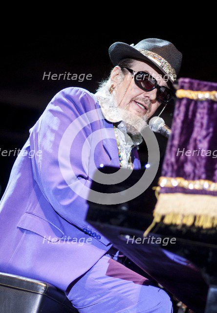 Dr John, 2010. Artist: Alan John Ainsworth.