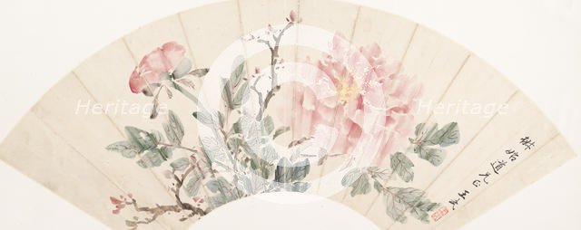 Peony. Creator: Wang Wu.