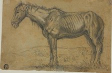 Emaciated Horse (recto); Frontal View of a Horse (verso), n.d. Creator: Charles Emile Jacque.