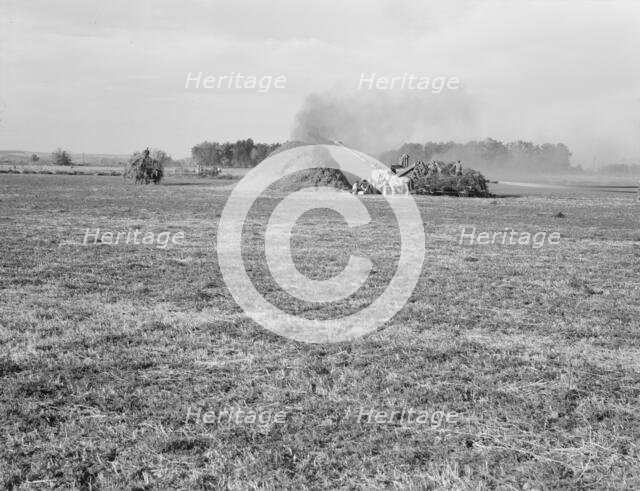 Threshing red clover for seed on older settler's ranch, near Ontario, Oregon, 1939. Creator: Dorothea Lange.