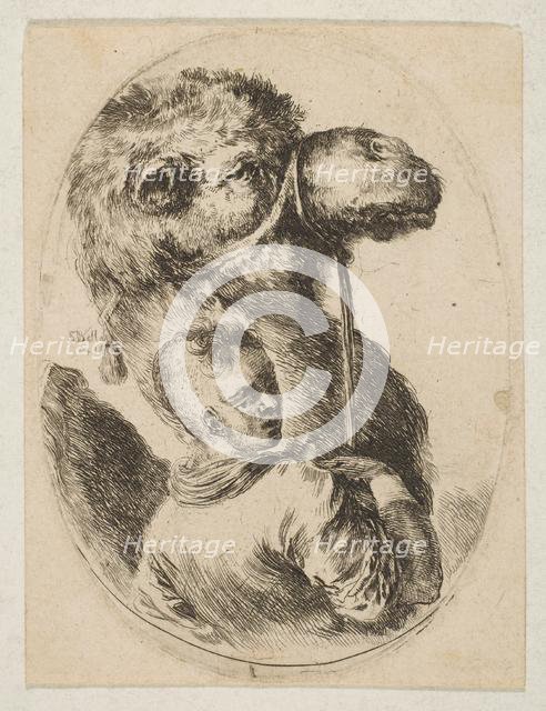 A slave holds a camel by the bridle, from 'Several heads in the Persian style' (Plusieurs ..., 1649. Creator: Stefano della Bella.