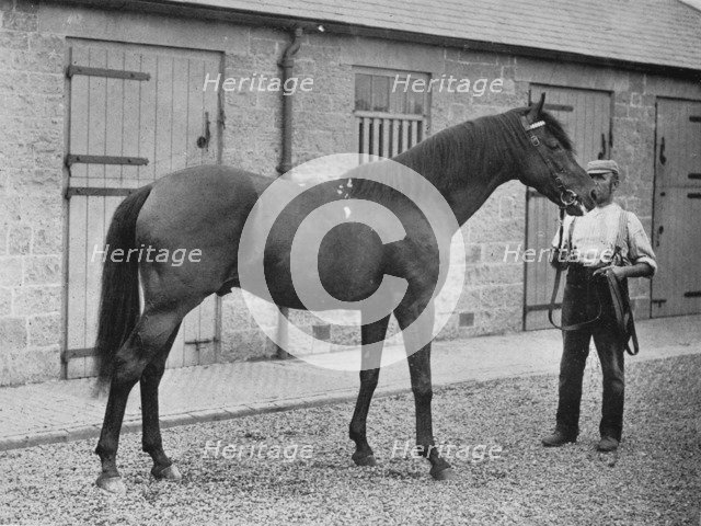 'Donovan', 1886-1905, (1911). Artist: Unknown.