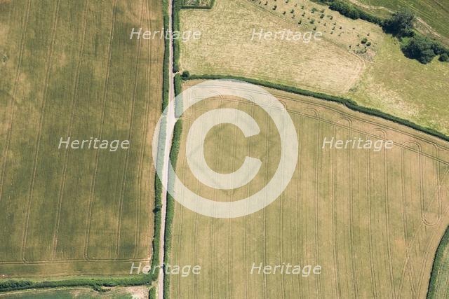 Prehistoric farms, Stogumber, Somerset, 2018. Creator: Historic England Staff Photographer.