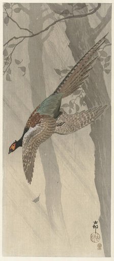 Flying pheasant, Between 1900 and 1915. Creator: Ohara, Koson (1877-1945).