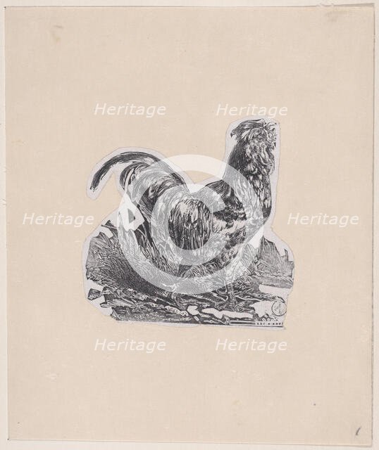 The Rooster, ca. 1853. Creator: Charles Emile Jacque.