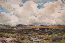 'Stacking Peat, Festiniog, North Wales', 1881. Artist: Thomas Collier.