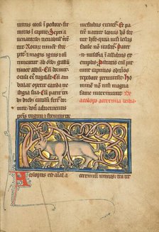 An Antelope with its Horns Entangled in a Bush; De Natura Avium, 1277 or after. Creator: Unknown.