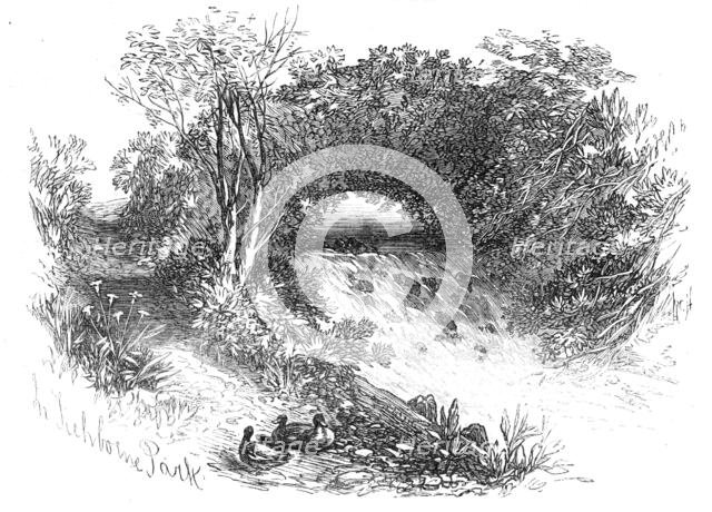 Waterfall in Tichborne Park, Alresford, Hants., 1871. Creator: Unknown.