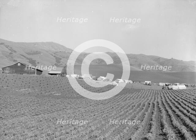 Ranch camp for pea pickers, near Milpitas, Santa Clara County, California, 1939. Creator: Dorothea Lange.