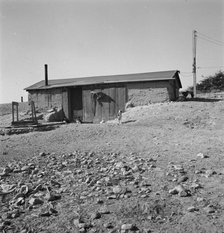 Abode basement dugout house on Roberts' farm, Willow Creek area. Malheur County, Oregon, 1939. Creator: Dorothea Lange.