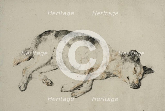 Sleeping dog. Creator: Cornelis de Visscher.
