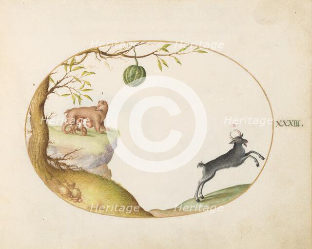 Animalia Qvadrvpedia et Reptilia (Terra): Plate XXXIII, c. 1575/1580. Creator: Joris Hoefnagel.