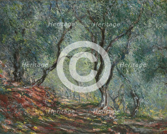 Bois d'oliviers au jardin Moreno, 1884. Artist: Monet, Claude (1840-1926)