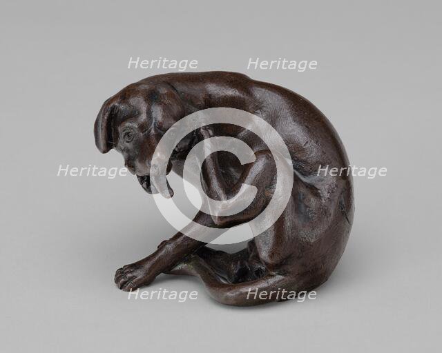 A Dog Scratching, 1630s. Creator: Georg Schweigger.