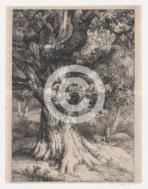 The Charlemagne, Oak Tree with an Eagle's Nest, 1845. Creator: Eugene Blery.