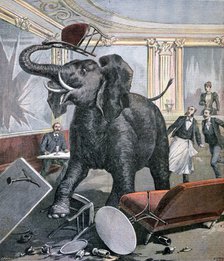 A elephant in the Pre-Catalan Café, Toulouse, France, 1891. Artist: Henri Meyer