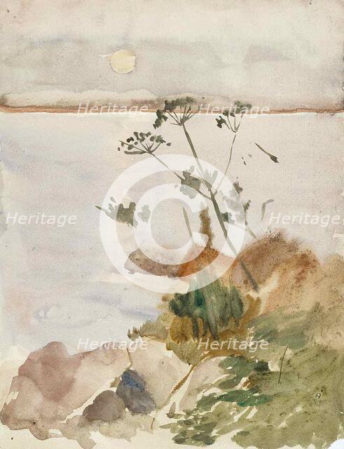 Seashore in the Moonlight, c1890s. Creator: Albert Edelfelt.