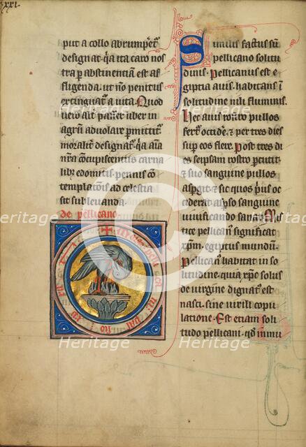 A Pelican Feeding her Young; De Natura Avium; De Pastoribus et Ovibus, 1277 or after. Creator: Unknown.