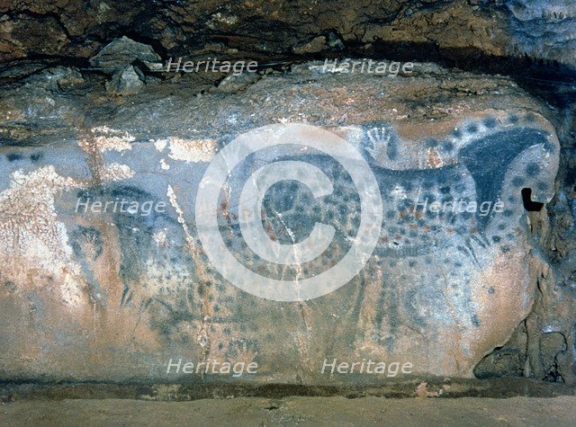 Paintings Hall (Pech-Merle Cave), Painting of two contemporary horses overlapped, they are shown …