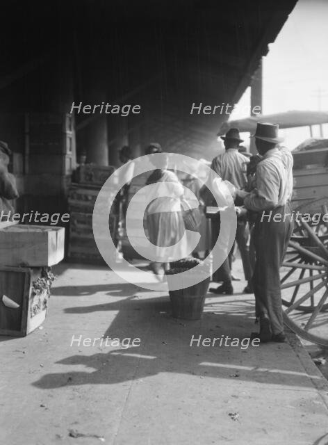 Market scene, New Orleans, between 1920 and 1926. Creator: Arnold Genthe.