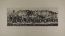 Plowing Oxen, n.d. Creator: Pieter Dupont.