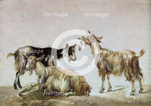 Study of three Goats, 1820. Creator: Johan Christian Dahl.