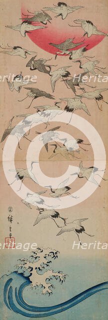 Cranes. Creator: Hiroshige, Utagawa (1797-1858).