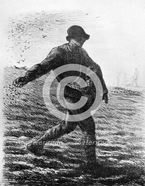 'Le Semeur', c1850, (1913).Artist: Jean Francois Millet