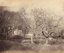 Glen Forsa, Isle of Mull, ca. 1858. Creator: Horatio Ross.