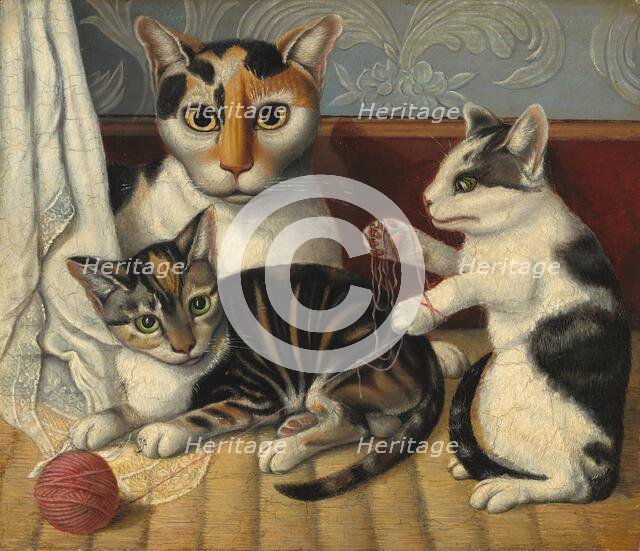 Cat and Kittens, c. 1872/1883. Creator: Unknown.