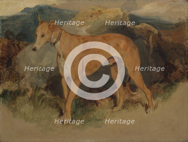 A Deerhound, 1826. Creator: Edwin Henry Landseer.