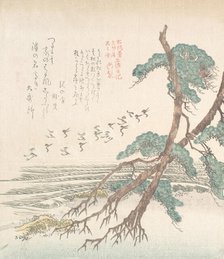Sea-Side Landscape with Pine Trees and Flying Cranes, 19th century. Creator: Kubo Shunman.