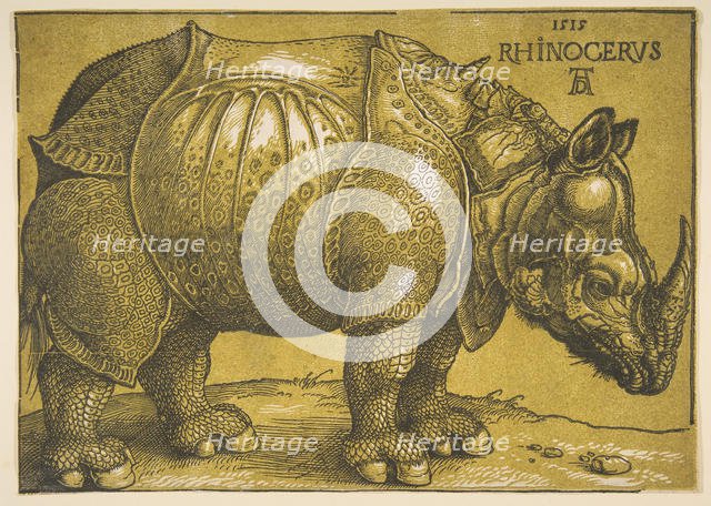 The Rhinoceros, after 1620. Creator: Albrecht Durer.
