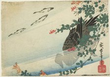 Trout, duck, and bush clover, c. 1840. Creator: Ando Hiroshige.