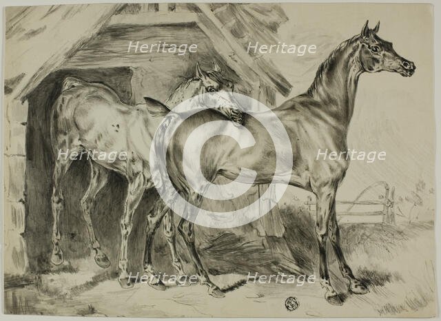 Standing Mare and Colt, n.d. Creator: Unknown.