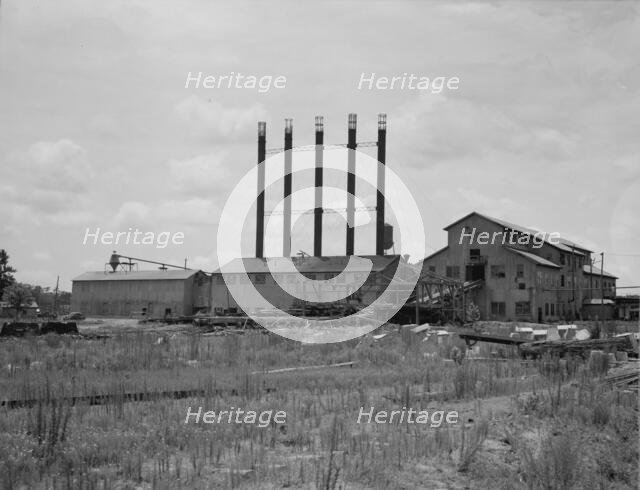 Lumber mill being dismantled, Careyville, Florida, 1937. Creator: Dorothea Lange.