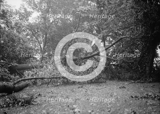District of Columbia Parks Effects of Storm, 1913. Creator: Harris & Ewing.