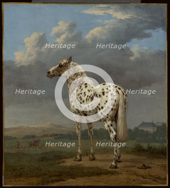 The Piebald Horse, about 1650-1654. Creator: Paulus Potter.