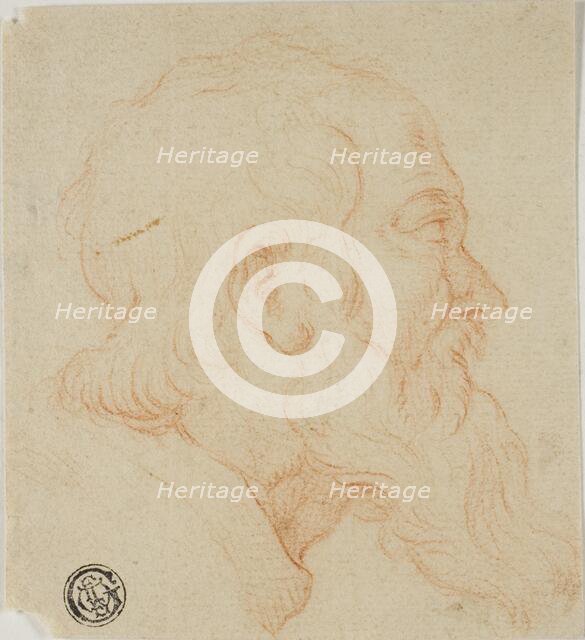 Head of Old Man in Profile to Right, n.d. Creator: Unknown.