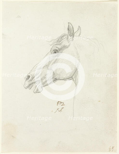 Horse's Head, c. 1810. Creator: Jacques-Louis David.