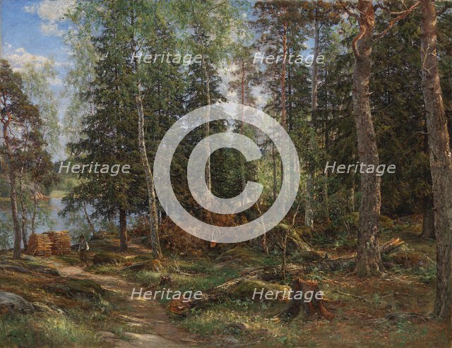 Forest interior, subject from Laajasalo, Helsinki, 1886. Creator: Berndt Lindholm.