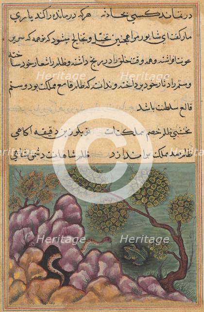 Page from Tales of a Parrot (Tuti-nama): Twenty-sixth night: The dethroned frog..., c. 1560. Creator: Unknown.